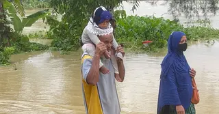 বন্যায় ফেনীতে ১৬৫৫ হেক্টর জমির ফসল পানিতে নিমজ্জিত